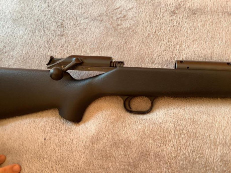 Buenos dias , un amigo me pide ayuda por que deja la actividad de la caza esta quemao del todo,vende su 52