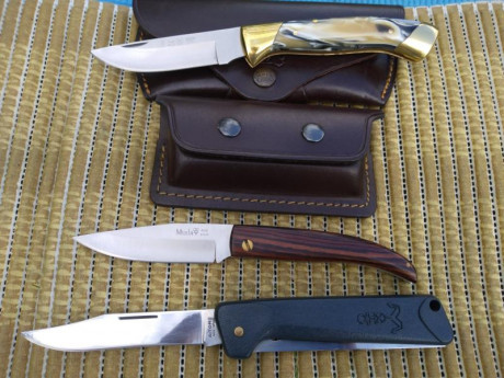 Muy buenas.
Vendo esta colección de  tres piezas, en perfecto estado, como nuevas :
Nieto caza 
Muela 11
