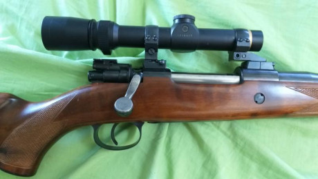 Vendo rifle Brno CZ M.98 
Calibre: 9,3x62 
Bases Apel, anillas y base para punto rojo

Punto rojo con 02