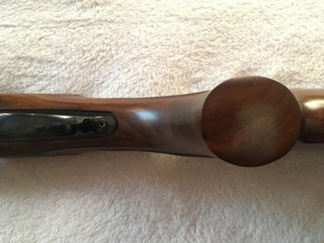 Se vende por no usar, (esta nueva a estrenar), superpuesta Zoli Kronos, 75 cm de cañon, chokes fijos, 10