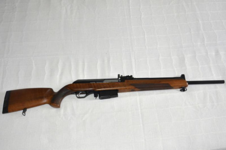 Vendo Rifle semiatomático Molot en muy buen estado. Muy buenas agrupaciones .Robusto, fiable.
Ideal para 02