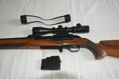 Vendo Rifle semiatomático Molot en muy buen estado. Muy buenas agrupaciones .Robusto, fiable.
Ideal para 00