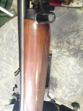Rifle prácticamente sin uso,como  se puede observar en las fotos. Por sus características fisicas,está 22