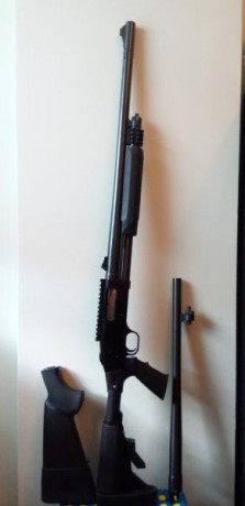 Hola,
Vendo escopeta Mossberg 500 cal 12 con dos cañones:
-Cañon cilíndrico de 47 cms
-Cañon rayado de 02