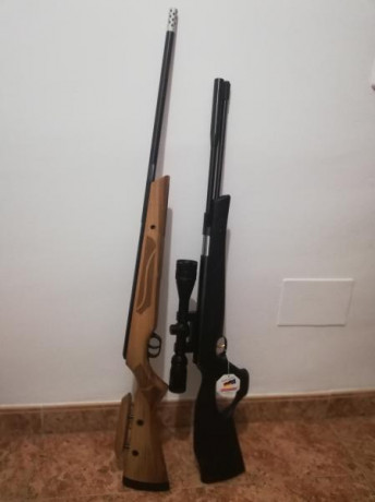 Hola compañer@s!

   Me está empezando a picar el gusanillo de las escopetas de Nitro Pistón, ya que me 120