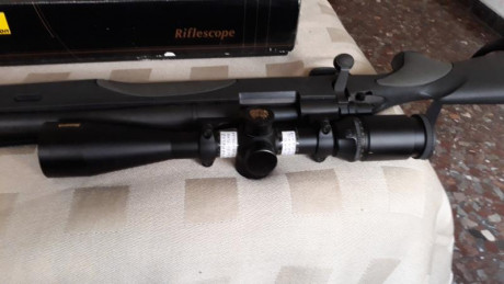 Buen visor para rececho sin llegar a ser de alta gama, Nikon Monarch, 4-16x42,  con control de paralaje, 00