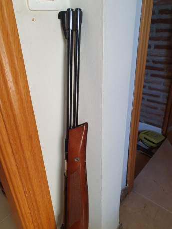 En mejor estado posible el pavonado y madera.  Si es el modelo Export mejor .
Al final solo compro la 01