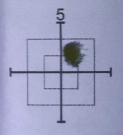 Venta carabina Grünig Xracer
Culata de madera de Paulownia, extras, sintonizador RS especial para cañon 140