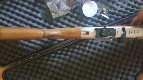 Buenas a todos, vendo Hatsan Galatian 4 en perfecto estado con dos cargadores, maletín, cable de carga 00