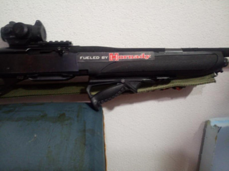 Esto del confinamiento da mucho tiempo para enredar.

Me aburrí de ver mi 750 Carbine con sus maderitas, 01