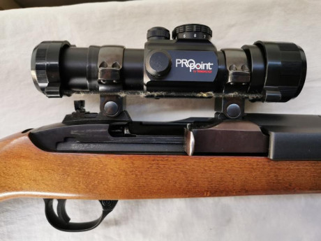 Rifle Ruger 44 REM Magnum DEERFIELD. Incluido visor de punto rojo Tasco Pro Point y correa de transporte. 00
