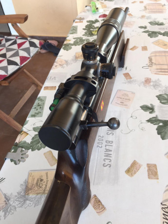Un amigo vende una Anschutz Macht 54.
Carabina y maletín 550 euros
 REBAJADA A 500 EUROS. 
El visor no 01