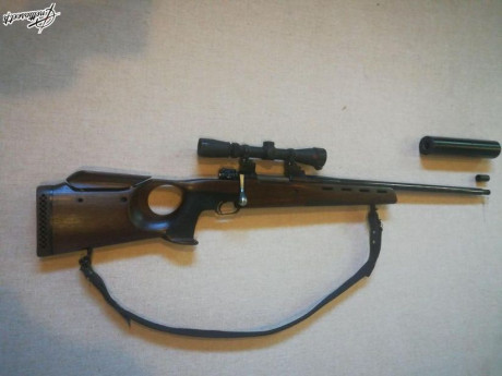 Esto del confinamiento da mucho tiempo para enredar.

Me aburrí de ver mi 750 Carbine con sus maderitas, 151