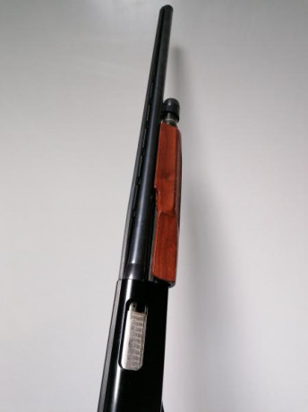 Vendo Escopeta Winchester pajillera calibre 12 modelo 1300.
280€ más portes. 01