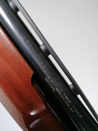 Vendo Escopeta Winchester pajillera calibre 12 modelo 1300.
280€ más portes. 00