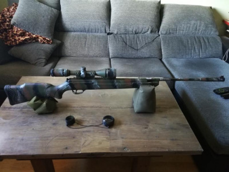 hola a todos, vendo carabina de resorte hatsan 125, pintada camo tiger, venia de fabrica con el muelle 02