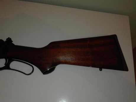   VENDIDO. SE PUEDE CERRAR  

Hola compañeros.

Pongo a la venta mi MARLIN 444. El arma lleva montada 22