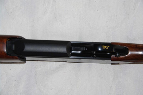 Vendo rifle Browning calibre 308W con visores TASTO TITAN 3X - 9X42 y Nikon Monarch UCC 1.5 - 4.5X20 por 01