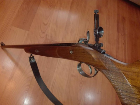 Fusil en buen estado y bastante preciso 500€  con turquesa incluida ,portes aparte . 160