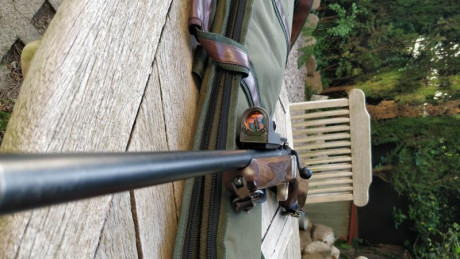 Punto rojo de 6.5 moa para tiros rápidos
SIn bateria, con fibra optica y Tritium 

https://www.trijicon.com/products/details/rx01

Montura 00