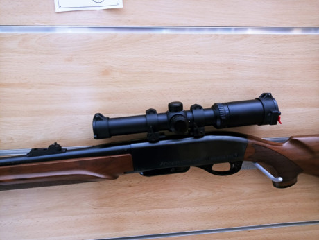 RIFLE OCASION SOLO HA DISPARADO 10 TIROS DE PRUEBA.
VISOR BUSHNELL TROPHY 1-4 X 24
BASES Y ANILLAS WARNE 01