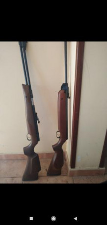 Hola, cambio mi weihrauch hw77k calibre 5.5 en perfecto estado por otra weihrauch hw77 pero con el cañón 02