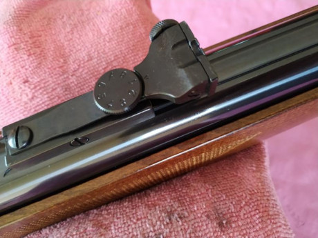 Hola, cambio mi weihrauch hw77k calibre 5.5 en perfecto estado por otra weihrauch hw77 pero con el cañón 10