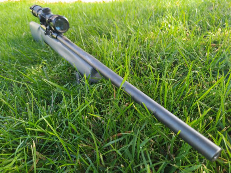 Pongo en venta mi Remington modelo 597 calibre 22lr., el motivo es que no lo uso. Cuando lo compré tire 02