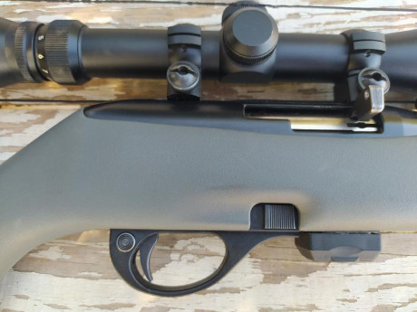 Pongo en venta mi Remington modelo 597 calibre 22lr., el motivo es que no lo uso. Cuando lo compré tire 01