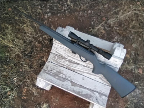 Pongo en venta mi Remington modelo 597 calibre 22lr., el motivo es que no lo uso. Cuando lo compré tire 12