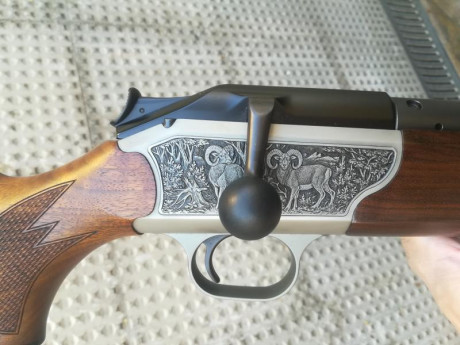 Rifle blaser r93 luxus calibre 9,3x62 como nuevo muy pocos tiros. Lo entrego con funda, portafusil y anillas, 00