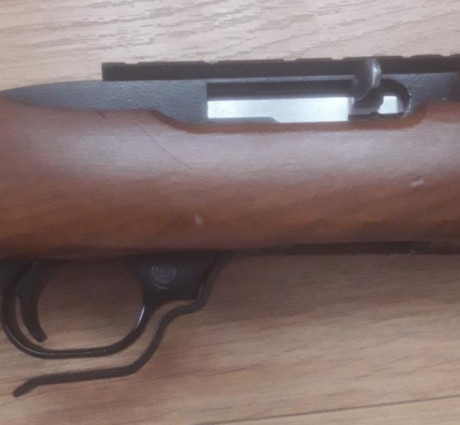 ( VENDIDA) carabina Ruger 10/22 en buen estado, palanca del cargador sobredimensionada...con una leve 12