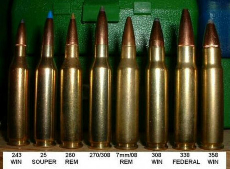 Buenas noches, tengo la idea de adquirir un rifle de cerrojo en 30.06 para cazar la mayor en España, principalmente 60