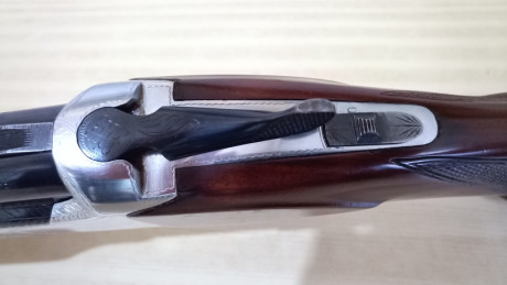 Muy buenas.
Vendo ésta preciosidad con las siguientes características:

     Marca: CYA
     Modelo: Phantom
 10
