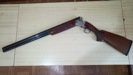 Muy buenas.
Vendo ésta preciosidad con las siguientes características:

     Marca: CYA
     Modelo: Phantom
 22