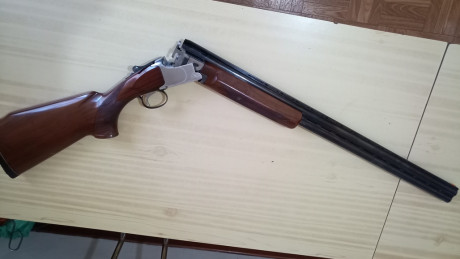 Muy buenas.
Vendo ésta preciosidad con las siguientes características:

     Marca: CYA
     Modelo: Phantom
 20