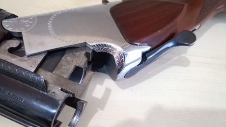 Muy buenas.
Vendo ésta preciosidad con las siguientes características:

     Marca: CYA
     Modelo: Phantom
 30