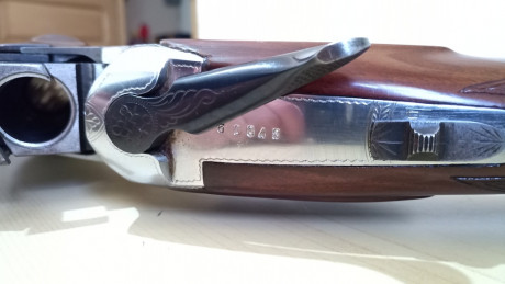 Muy buenas.
Vendo ésta preciosidad con las siguientes características:

     Marca: CYA
     Modelo: Phantom
 42
