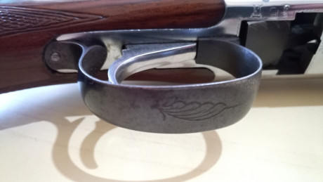 Muy buenas.
Vendo ésta preciosidad con las siguientes características:

     Marca: CYA
     Modelo: Phantom
 52