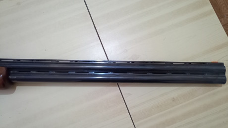 Muy buenas.
Vendo ésta preciosidad con las siguientes características:

     Marca: CYA
     Modelo: Phantom
 51