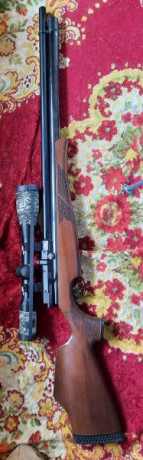 Carabina air arms s510 rifle Xtra FAC XS RH
Vendo carabina pcp air arms  regulada , comprada en febrero 01