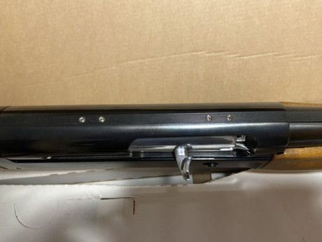Vendo Benelli Premium nueva del 12. La compré para ponerle un red dot y nunca la estrené. Regalo el carril 01