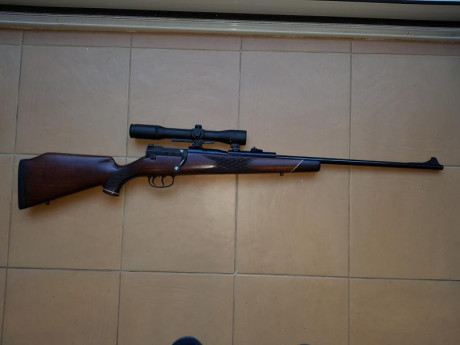 Mauser 66 del calibre 6,5x68 con bases y monturas shuler y con un visor Smith Bender por no utilizar, 20