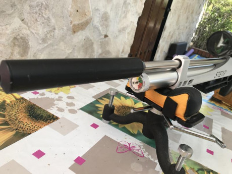Saludos a la buena gente del foro. Vendo carabina Steyr LG 110 calibre 4,5 en perfectísimo estado. La 21