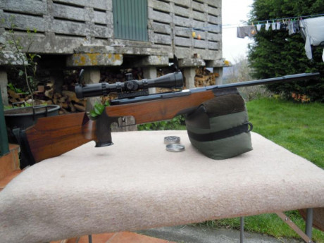 Existe alguna montura monopieza china para 11mm decente? 31
