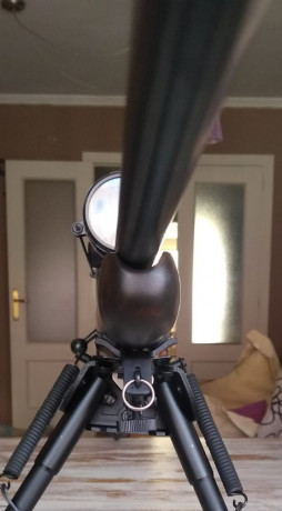 Saludos a todos, recientemente me he iniciado en el tiro de precisión y como no tenía muy claro si me 30