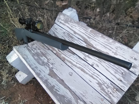 Pongo en venta mi Remington modelo 597 calibre 22lr., el motivo es que no lo uso. Cuando lo compré tire 70