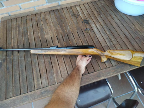 Se vende la que posiblemente sea la mejor carabina semiautomática del mercado capaz de seleccionar semi 01