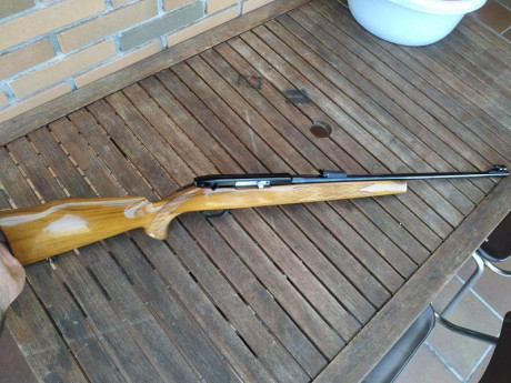 Se vende la que posiblemente sea la mejor carabina semiautomática del mercado capaz de seleccionar semi 00