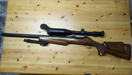 Hola, estoy buscando rifle para tiro deportivo de zurdo, con cañon pesado y su es posible en 308.
. 

Un 81